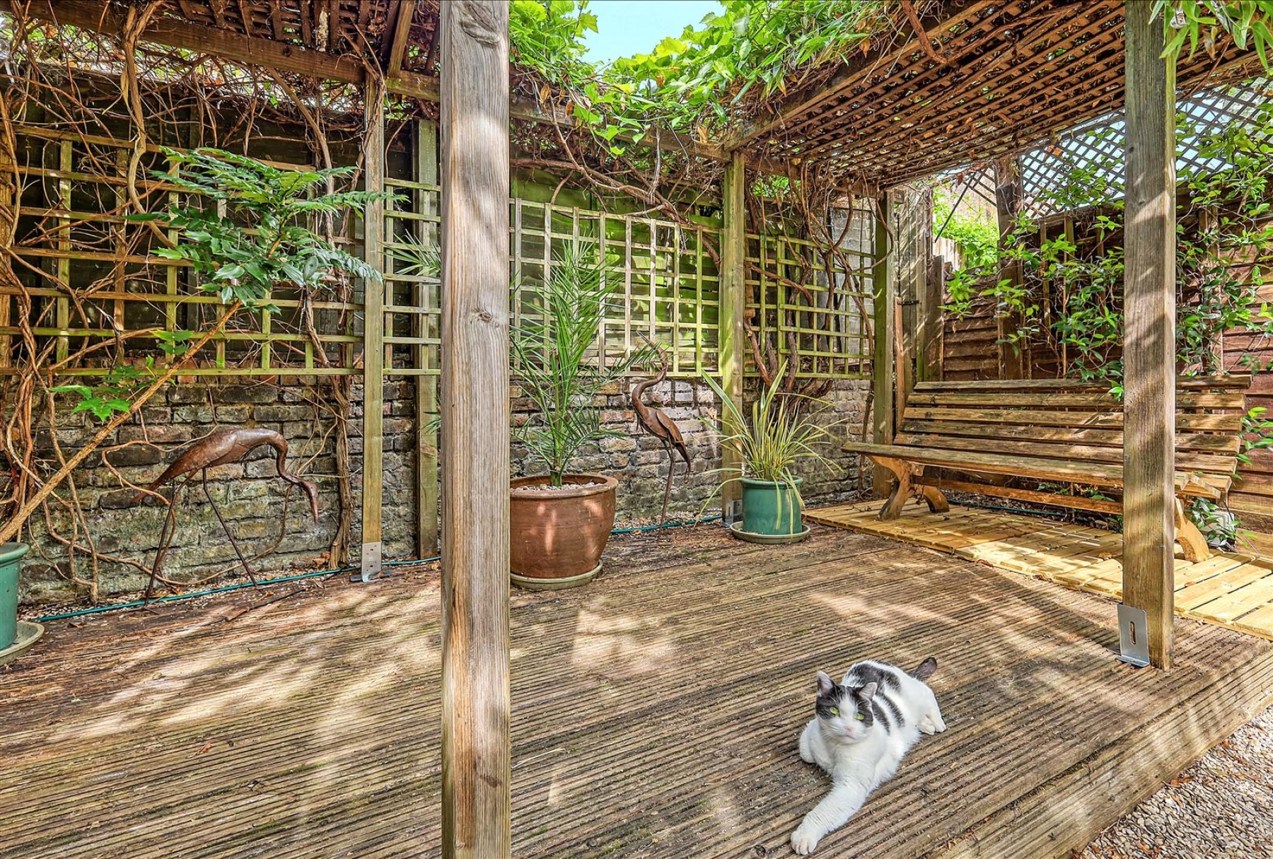 Images for Brighton Road, N16 8EG